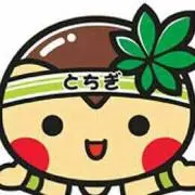 ぽんたんの画像