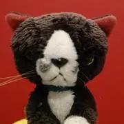 はにゃこの画像