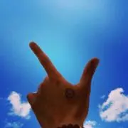 NOAの画像