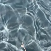 おふの画像
