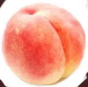 ももちゃんの画像