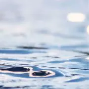 yuniの画像