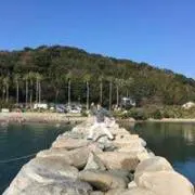 Tetsuya  Hashizumeの画像