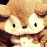 cocoの画像