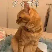 minami  ◎プロフィール必見の画像