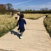 gggoldyの画像