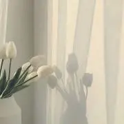 ぴーちゃん【即購入OK⭐︎】の画像