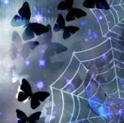 Νύχτα✩. プロフに嬉しい知らせ有の画像