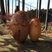 キラキラ星の画像