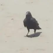 みなお
