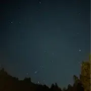とぴの画像