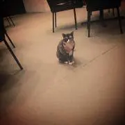 ひなのの画像