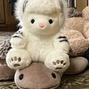 あいかの画像