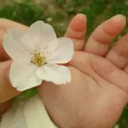 ちゅう 速達対応購入前ご相談ください♪の画像
