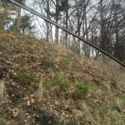 yu2323の画像