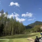 Mmの画像