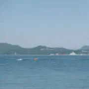 Uの画像