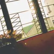Rの画像