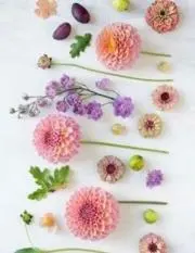 エルメスの画像