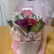 すべてうまくいくの画像
