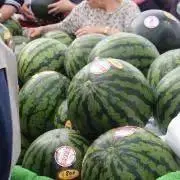 すいかの名産地【断捨離してます】の画像