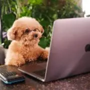 ＊モカPCshop＊月末セール中☆の画像