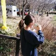 ぴん