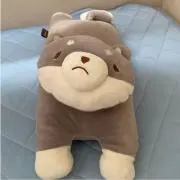 いぬさんの画像