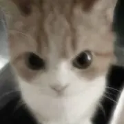 眠の画像