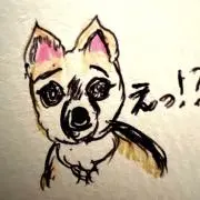 ハシビロッシュ⭐︎古着と雑貨の画像