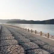 とっきー子の画像