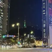 まりもの画像