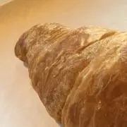 ぱんみの画像