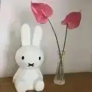 kumachanの画像