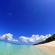 太郎の画像