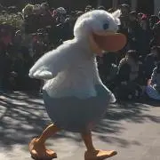 ぽむの画像