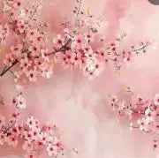 Sakura@即購OK/即日無料配送の画像