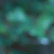 未定の人の画像