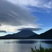 左近将監の画像