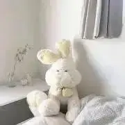 mの画像