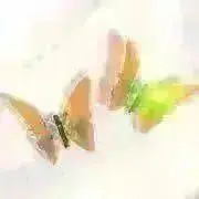 茶々＊ご購入前にプロフィールをご覧下さいの画像