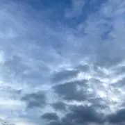 のん