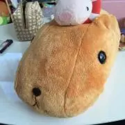 カピカピの画像