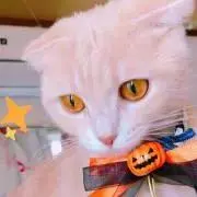 りん ＊プロフを必ずご確認下さい＊の画像