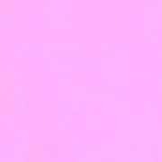 lilyの画像