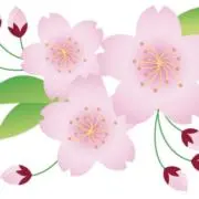 オーリー(値下げ交渉、即購入OK)