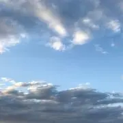Hの画像