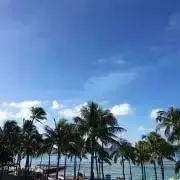 新米　コメント前、購入前にプロフ必読ですの画像