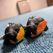 taa.*・゜の画像