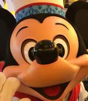アネモネの画像
